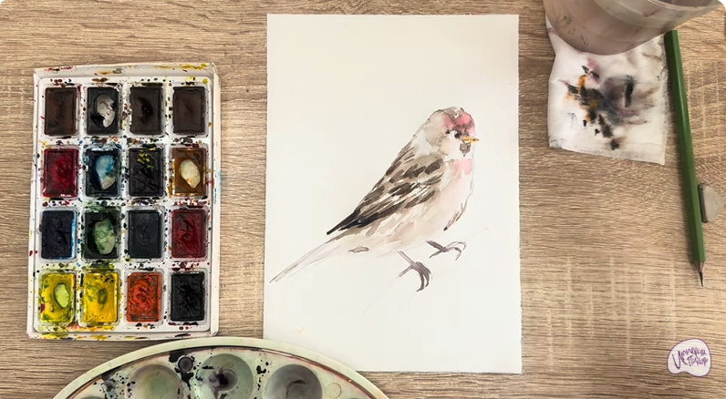 Рисуем Обыкновенная чечётка