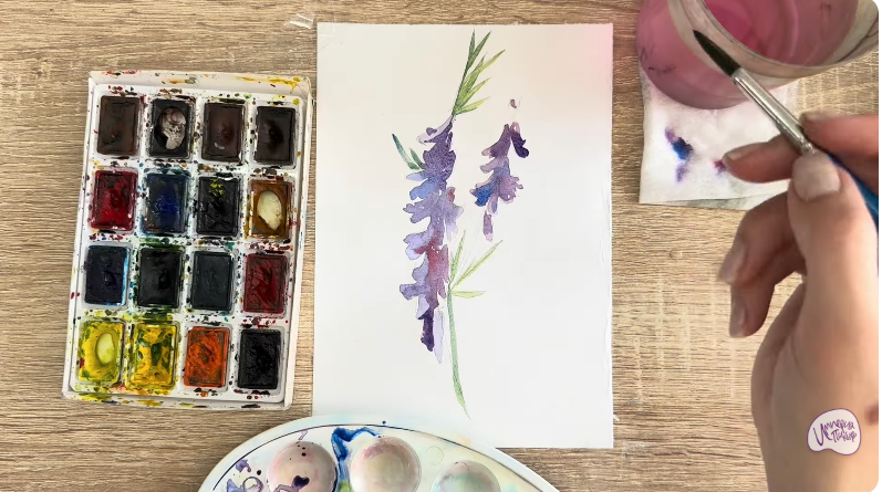 Рисуем Мышиный горошек