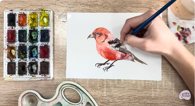 Рисуем Клест - еловик