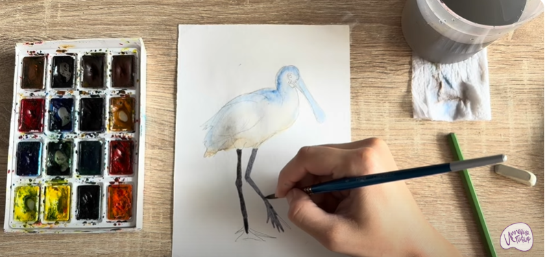 Рисуем Колпица Рисуем Колпица