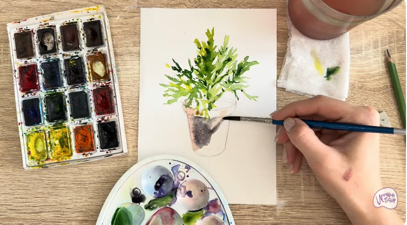 Рисуем Криптомерия японская