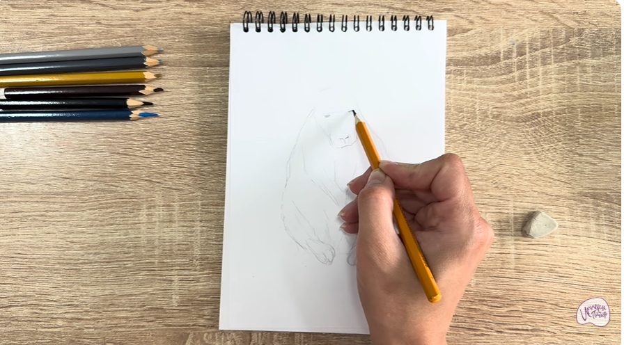 Рисуем Горная вискаша