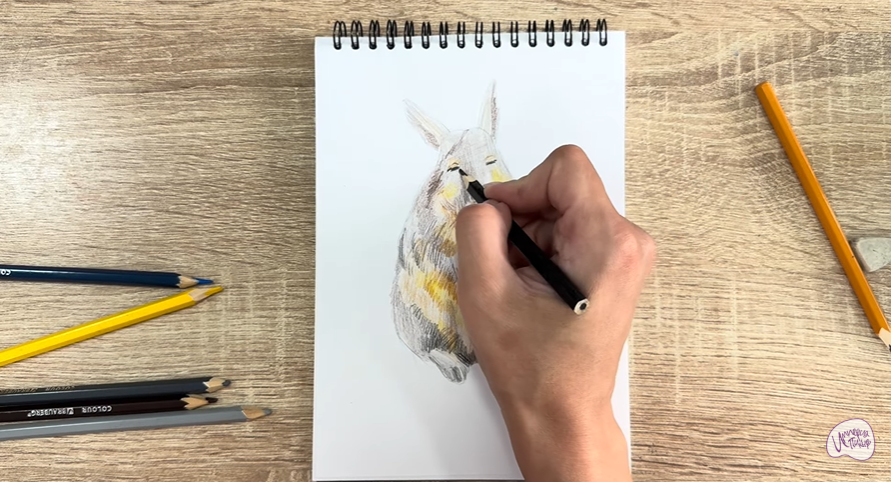 Рисуем Горная вискаша