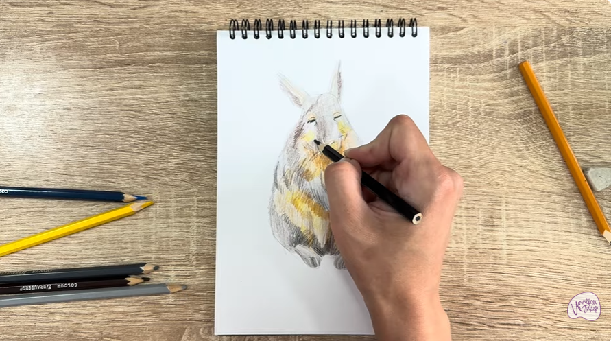 Рисуем Горная вискаша