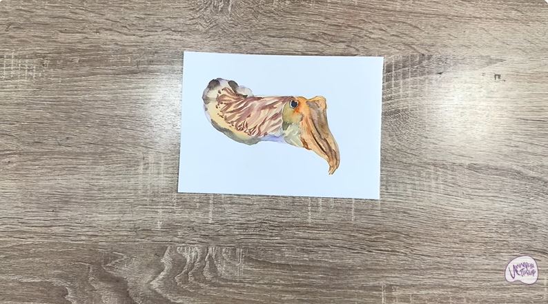 Рисуем Каракатица