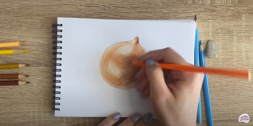 Рисуем Луковица