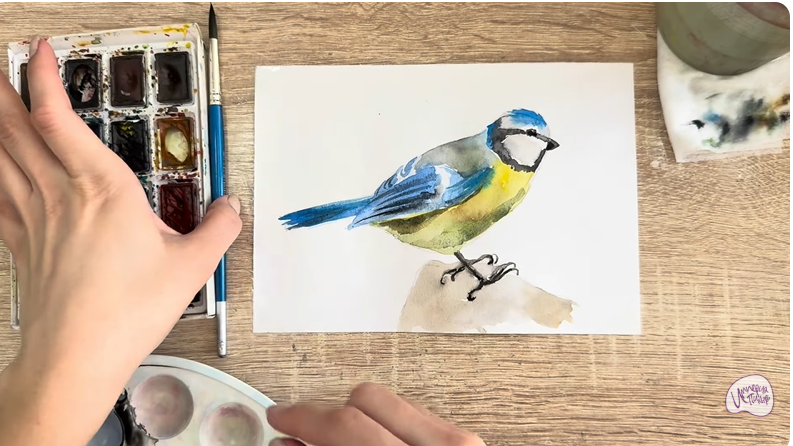 Рисуем Обыкновенная лазоревка