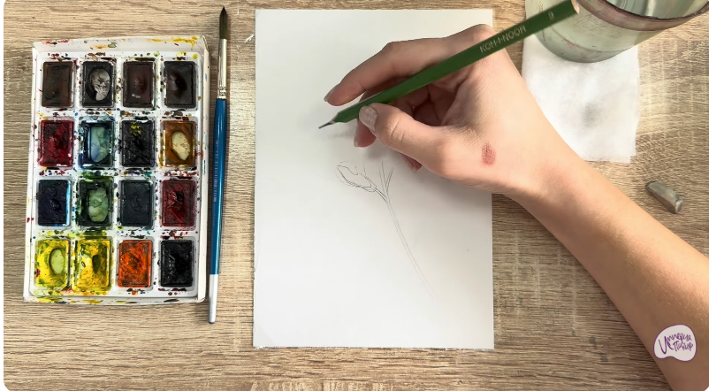 Рисуем Чина луговая