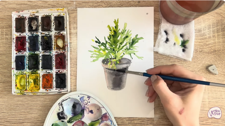 Рисуем Криптомерия японская