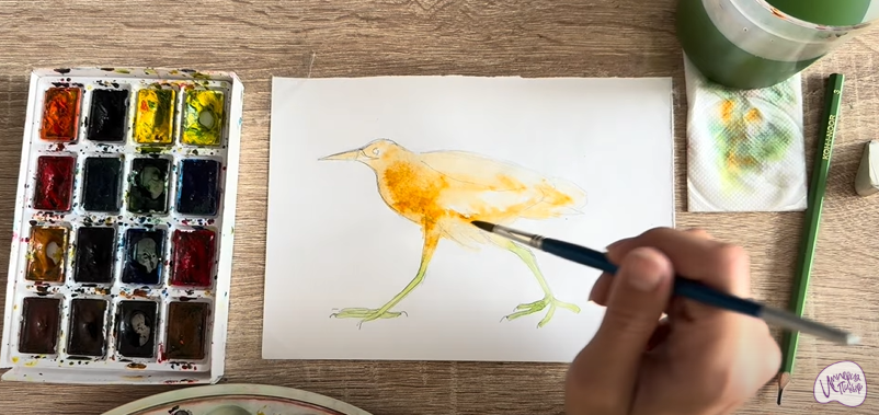 Рисуем Выпь Рисуем Выпь