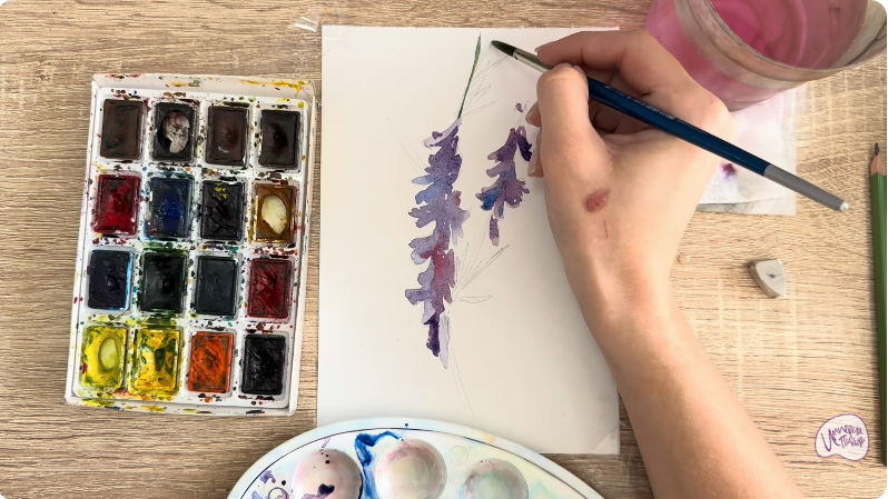 Рисуем Мышиный горошек