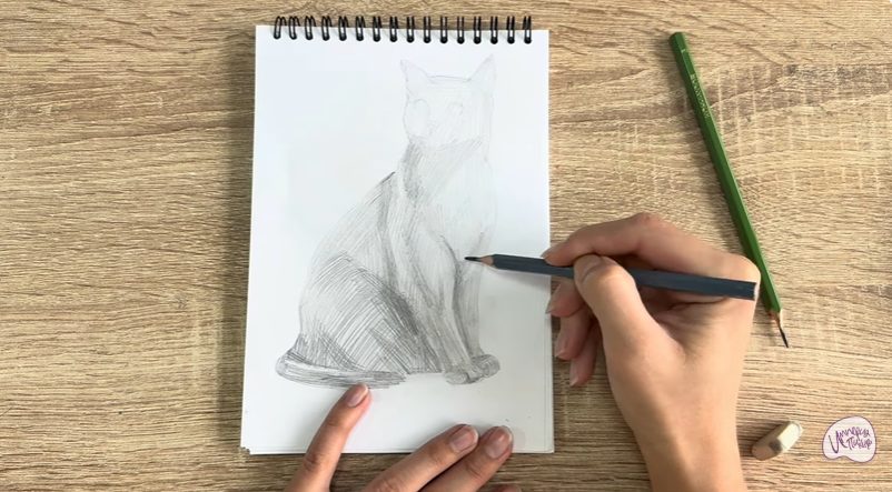 Рисуем Бурманский кот Рисуем Бурманский кот