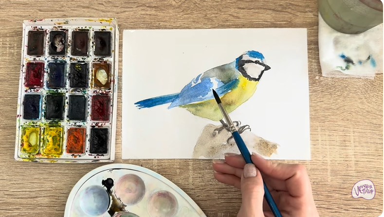 Рисуем Обыкновенная лазоревка