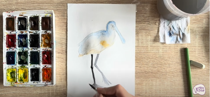 Рисуем Колпица Рисуем Колпица
