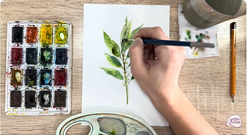 Рисуем Лавровый лист