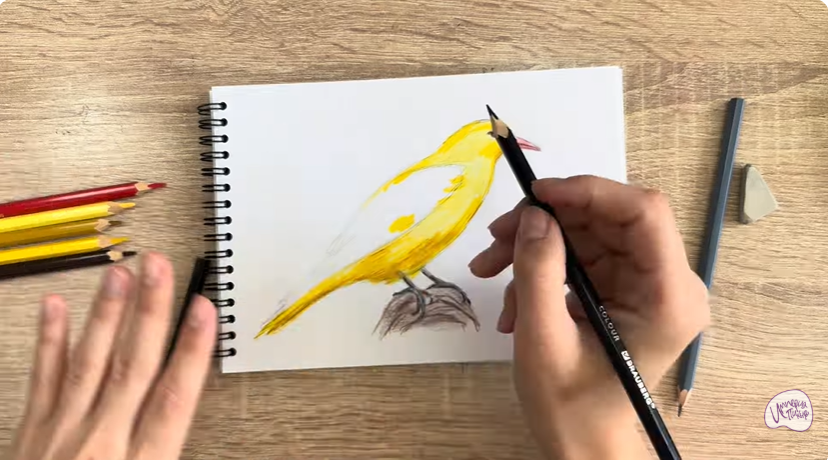 Рисуем Иволга