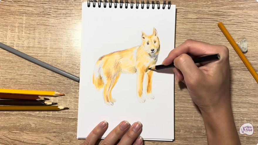 Рисуем Динго
