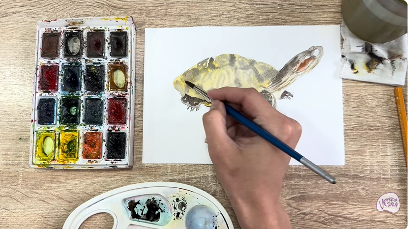 Рисуем Красноухая черепаха