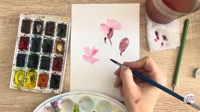 Рисуем Розовая смолёвка