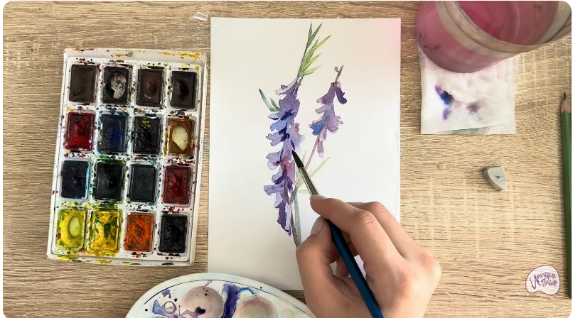 Рисуем Мышиный горошек