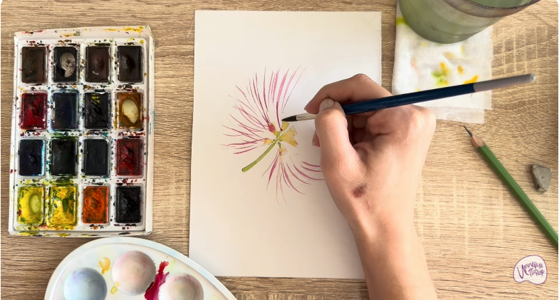 Рисуем Альбиция