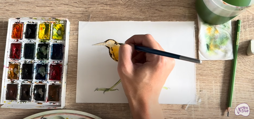 Рисуем Выпь Рисуем Выпь
