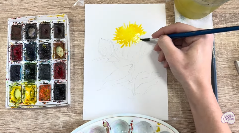 Рисуем Сафлор красильный