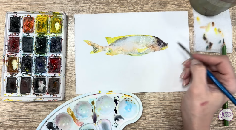 Рисуем Чернокрапчатый ворчун