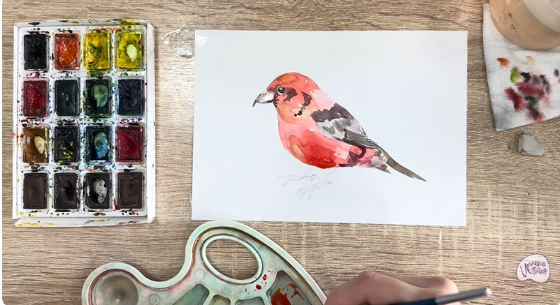 Рисуем Клест - еловик