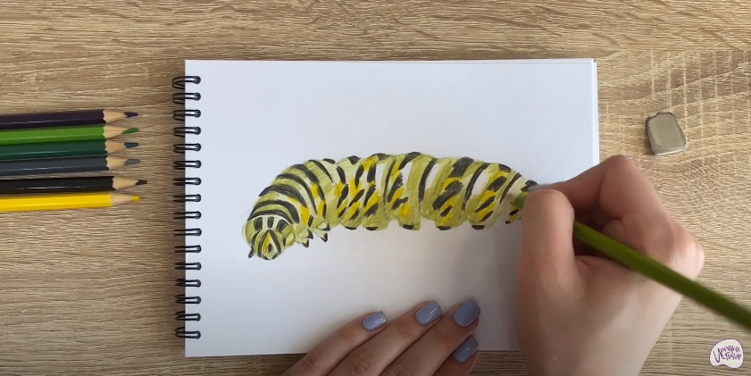 Рисуем Гусеница