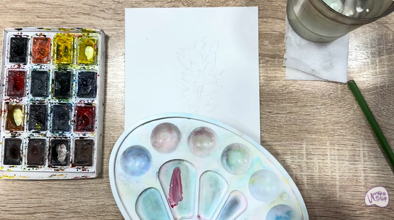 Рисуем Мирикария лисохвостая