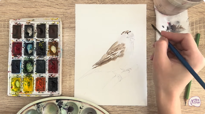 Рисуем Обыкновенная чечётка