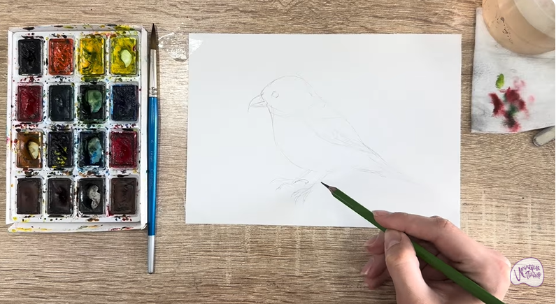 Рисуем Клест - еловик