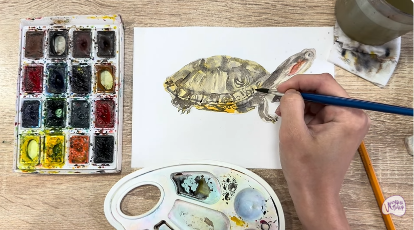 Рисуем Красноухая черепаха