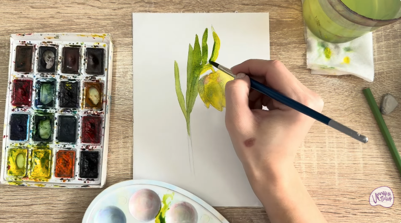 Рисуем Желтый рябчик