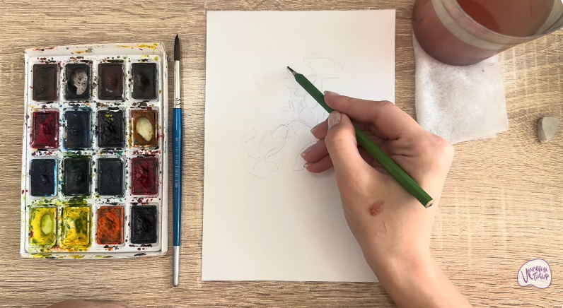 Рисуем Розовая смолёвка