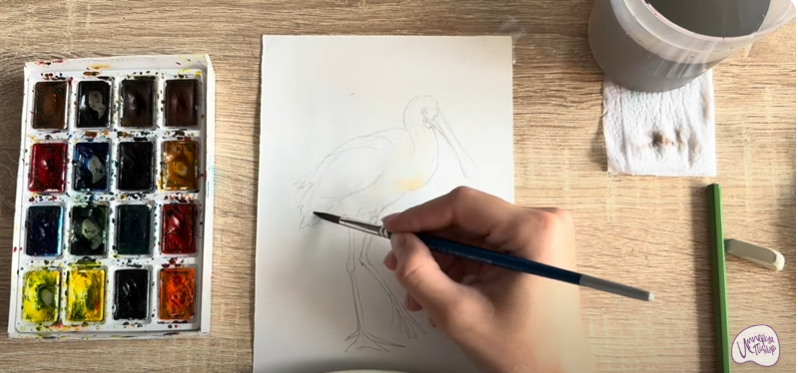 Рисуем Колпица Рисуем Колпица