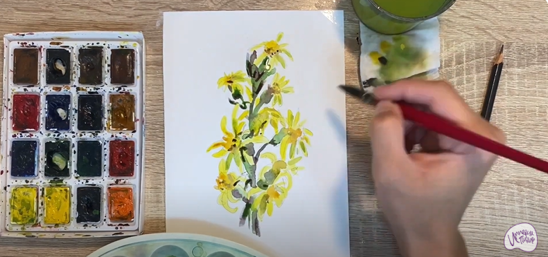 Рисуем Бузульник сибирский