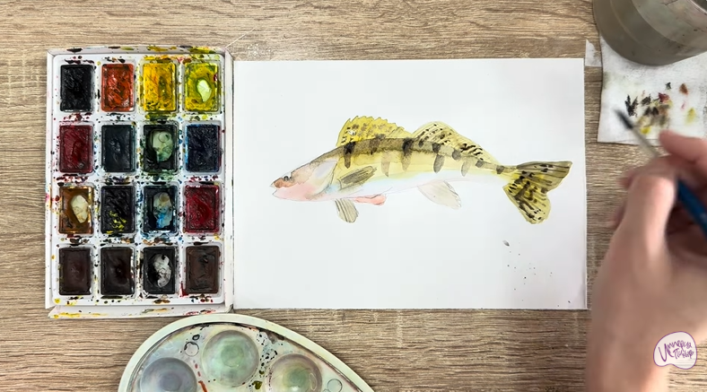 Рисуем Берш