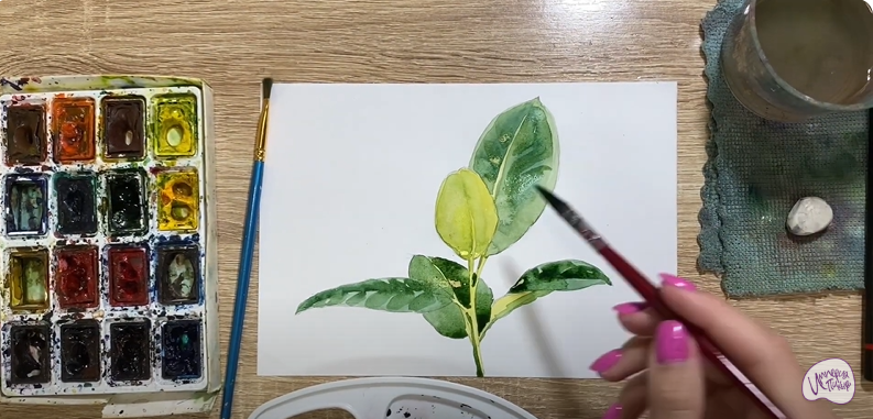 Рисуем Фикус