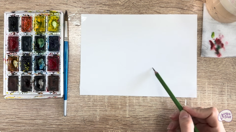 Рисуем Клест - еловик