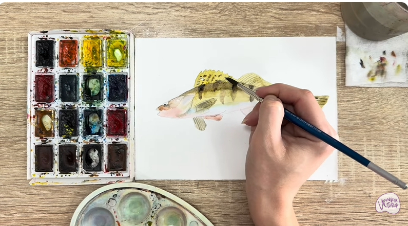 Рисуем Берш