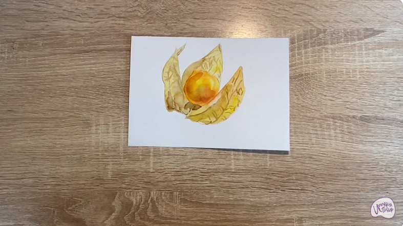 Рисуем Физалис