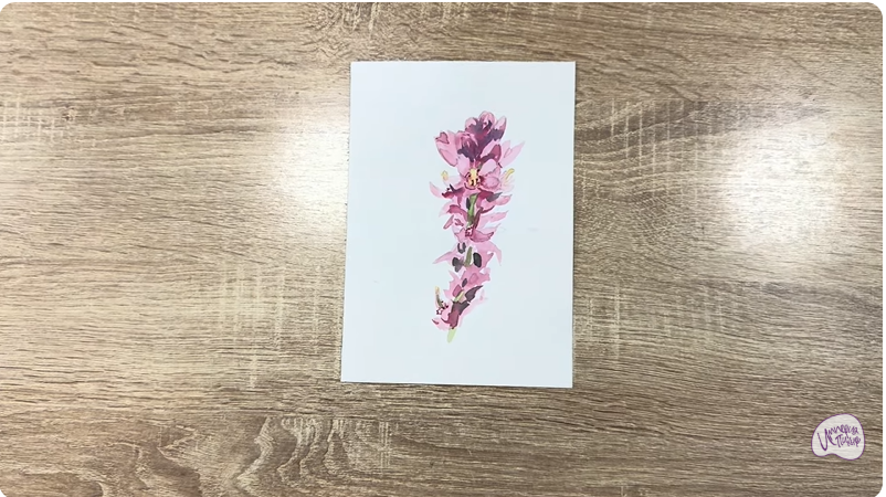 Рисуем Мирикария лисохвостая