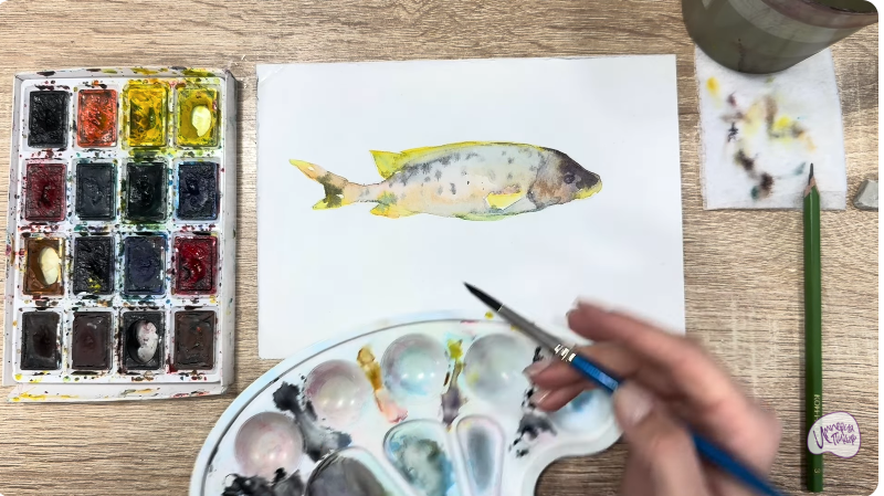 Рисуем Чернокрапчатый ворчун