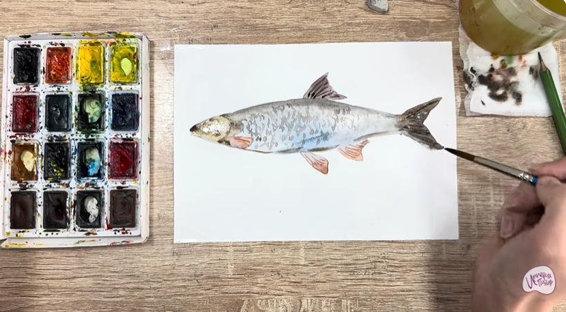 Рисуем Подуст