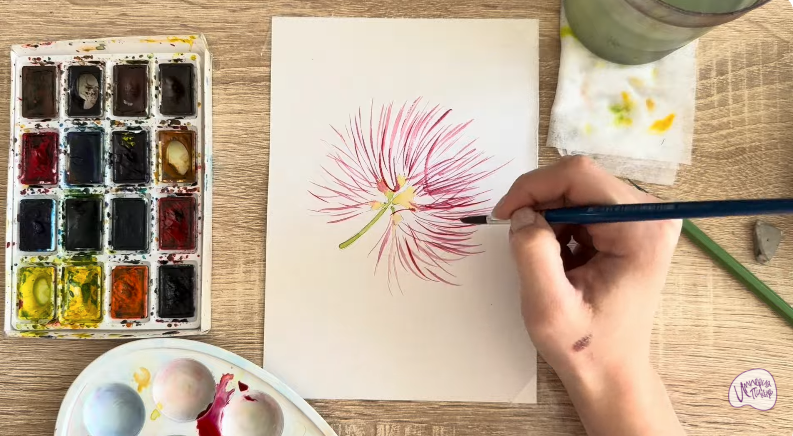 Рисуем Альбиция