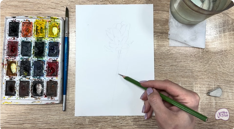 Рисуем Мирикария лисохвостая