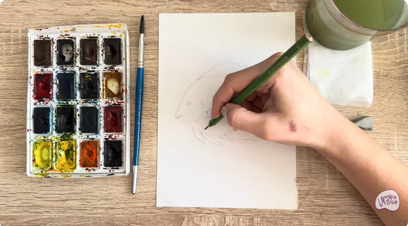 Рисуем Платакс