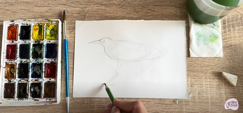 Рисуем Выпь Рисуем Выпь